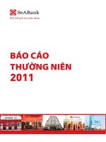 báo cáo thường niên 2011 ngân hàng đông nam á seabank kết nối giá trị cuộc sống