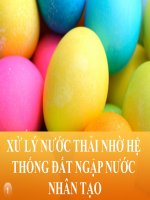 Đề tài: Xử lý nước thải nhờ hệ thống đất ngập nước