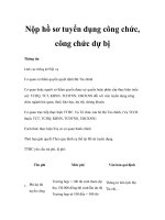 Nộp hồ sơ tuyển dụng công chức, công chức dự bị pdf