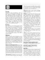 Black''''s veterinary dictionary 21st edition - B pot