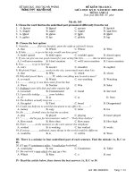 DE TIENG ANH 11(GIUA HK2 2009-2010)NH