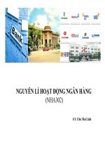 bài giảng nguyên lý hoạt động ngân hàng - gv. chu mai linh