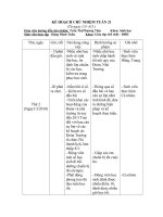 Kế hoạch chủ nhiệm tuần 21