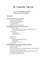 bài tập lớn THIẾT KẾ SƠ MI NỮ