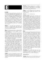 Black''''s veterinary dictionary 21st edition - E doc