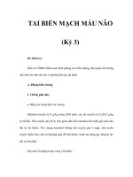TAI BIẾN MẠCH MÁU NÃO (Kỳ 3) pps