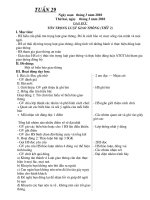 GIAO AN LOP 4 TUAN 29 ( CKTKN)