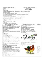 Giáo án Mĩ thuật tiểu học