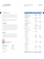 báo cáo tài chính năm 2012 ngân hàng tmcp bản việt viet capital bank