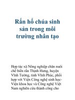 Rắn hổ chúa sinh sản trong môi trường nhân tạo ppt