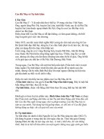 Cao Bá Nhạ và Tự tình khúc