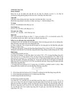 tinh dầu bạc hà