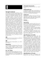 Black''''s veterinary dictionary 21st edition - I pot