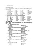 UNIT 13_ HOBBIES.doc