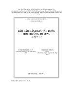 Mẫu bìa và trang phụ bìa của báo cáo đánh giá tác động môi trường bổ sung pdf