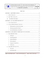 Thiết kế kỹ thuật công trình đê chắn sóng cảng neo đậu và cửa biển mỹ á giai đoạn 2