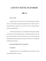 CẤP CỨU NGỪNG TUẦN HOÀN (Kỳ 1) potx
