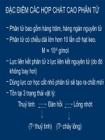 đặc điểm các hợp chất cao phân tử