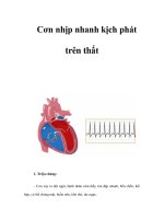 Cơn nhịp nhanh kịch phát trên thất pptx