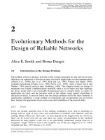 Tối ưu hóa viễn thông và thích nghi Kỹ thuật Heuristic P2 pdf