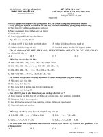 DE HOA 11 (GIUA HK2 2009-2010)NH