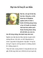 Đại táo bổ huyết an thần pps