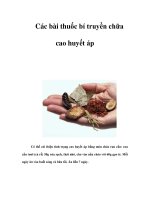 Các bài thuốc bí truyền chữa cao huyết áp pdf