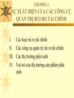 chương 1   sự xuất hiện của các công cụ quản trị rủi ro tài chính