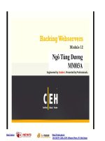 Giáo trình CEH v7 tiếng việt    chương 12 hacking web server