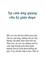 Sự cảm ứng quang chu kỳ gián đoạn doc