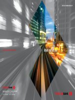 báo cáo thường niên năm 2010 ngân hàng techcombank