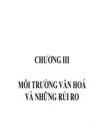 quản trị rủi ro gv  ths võ hữu khánh - chương iii môi trường văn hoá và những rủi ro