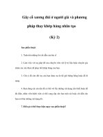 Gãy cổ xương đùi ở người già và phương pháp thay khớp háng nhân tạo (Kỳ 2) pps