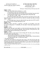 Đề Thi Học Sinh Giỏi HOÁ 11 - THPT Thanh Chương - Nghệ An [2009 - 2010] doc