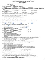 ĐỀ CƯƠNG ÔN TẬP HK 2 TIN 7