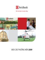 báo cáo thường niên 2009 ngân hàng đông nam á seabank kết nối giá trị cuộc sống