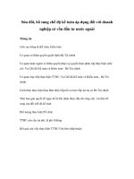 Sửa đổi, bổ sung chế độ kế toán áp dụng đối với doanh nghiệp có vốn đầu tư nước ngoài docx