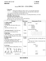 CAU LONG + DA CAU K12