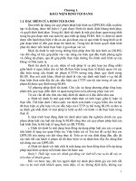 LÝ LUẬN ĐỊNH TỘI DANH