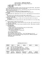 Tuan 4: CD thuc vat xubg quanh be