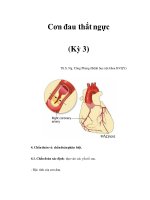 Cơn đau thắt ngực (Kỳ 3) doc