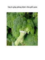 Súp lơ giúp phòng bệnh viêm phế quản pot