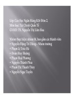 thuyêt trình nghiên cứu các công cụ tiền tệ phái sinh và thực tế áp dụng tại việt nam như thế nào