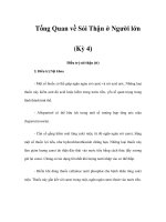 Tổng Quan về Sỏi Thận ở Người lớn (Kỳ 4) doc