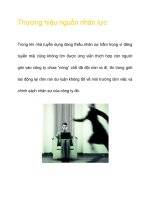 Thương hiệu nguồn nhân lực pptx