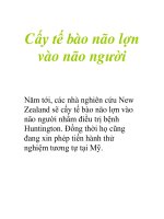 Cấy tế bào não lợn vào não người pptx