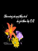 bài 31. vấn đề phát triển thương mại và du lịch