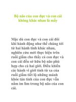 Bộ não của con đực và con cái không khác nhau là mấy pps
