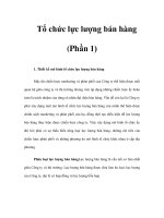 tổ chức lực lượng bán hàng chuyên nghiệp