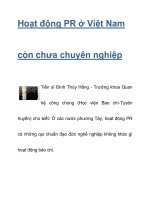hoạt động pr ở việt nam  còn chưa chuyên nghiệp